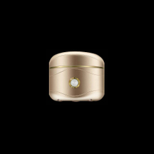 兩用小型吸氫器