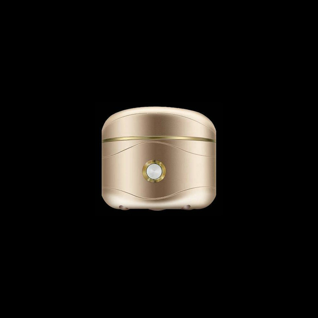 兩用小型吸氫器