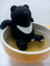 台灣黑熊的泡茶器具